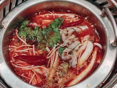 -龍歌自助小火锅(漳州二路爱购店)