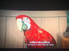 -和美电影艺术中心(万国城店)