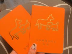 -贝利宠物医院·骨科·眼科·肿瘤转诊中心(南坪诊疗中心)