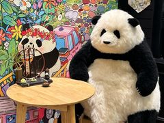 -轩客会(熊猫书店)