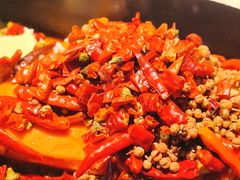 -阳阳老火锅(小南门店)