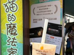-猫的魔法密林(衣裳街店)