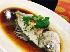 -新海利海鲜城·41年珠海老字号(夏湾店)