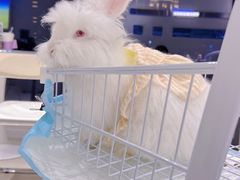 -怪兽屋·羊驼·猫咖·狗咖(俊华广场店)