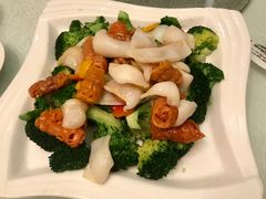 -康乐园乡村俱乐部