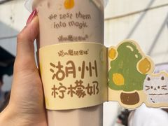 -猫的魔法密林(衣裳街店)