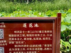-莲湖公园