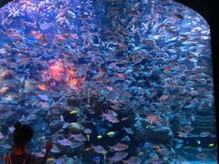 -成都浩海立方海洋公园