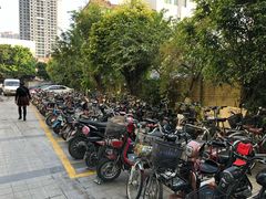 -黄埔华苑酒家(黄埔店)