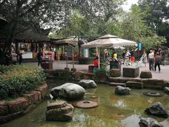 -黄龙溪古镇