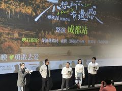 -太平洋影城(王府井店)