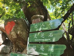 -吉林市朱雀山国家森林公园