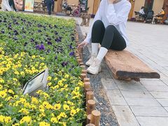 -光明小镇欢乐田园