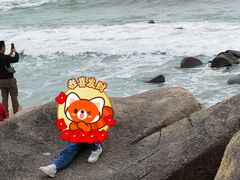 -广东惠东海龟国家级自然保护区