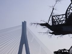 -芒洲湿地公园