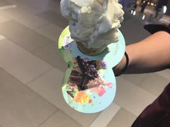 -野人先生现做冰淇淋(北京环宇荟店)