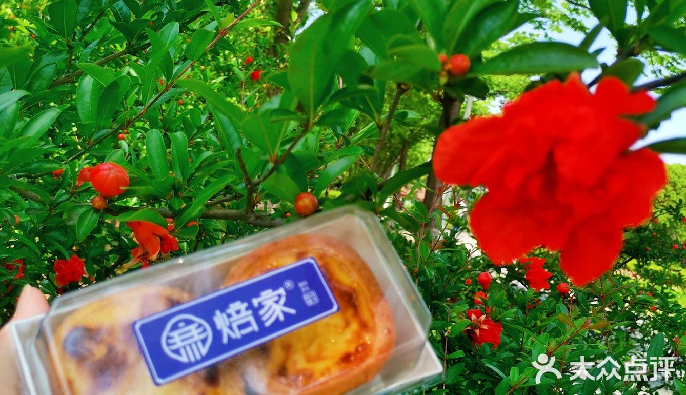 国潮新中式糕点