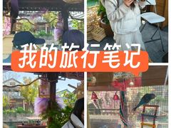 -蟠龙天地-P2停车场