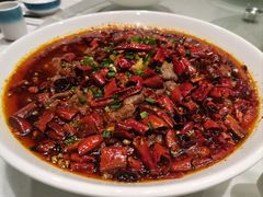 -鑫巴蜀小镇 · 水煮鱼专研店(玉桥店)