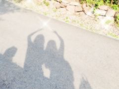 -白鹭湾湿地公园