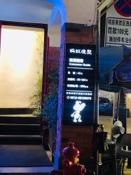 -蚂蚁造型沙龙