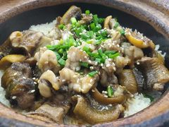 -红星光发煲仔饭(大石街店)