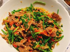 香菜炒牛肉-壹盏灯(蚂蚁工房店)