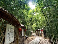 -同里国家湿地公园