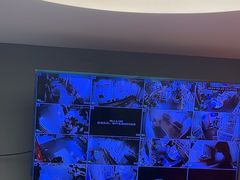 -宠物家(双井店)