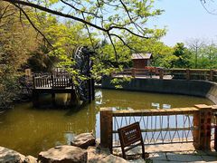 -石老人观光园