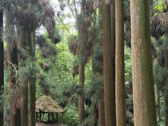 -青城山