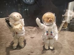 -济州岛泰迪熊博物馆