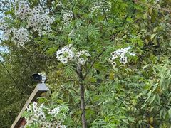 -郑州中国绿化博览园