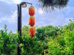 -汉长安城未央宫国家考古遗址公园