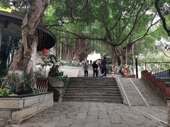-胡里山炮台