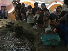 海龟喂食-绍兴梦享海洋公园