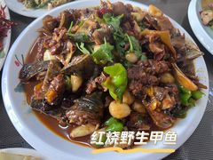 -微山岛春天里酒家