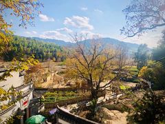 -塔川景区