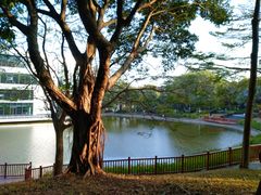 -深圳国际园林花卉博览园