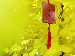 -杭州湾海上花田景区