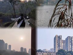 -重庆彩云湖湿地公园