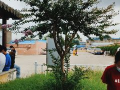 -平安驾校(田东路)