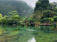 -靖西鹅泉风景区