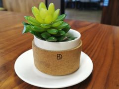 -新长福(星沙店)