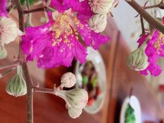 -七色云蔬食(喜邻里店)