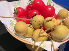 -季季山·云南野生菌火锅(上海首店)