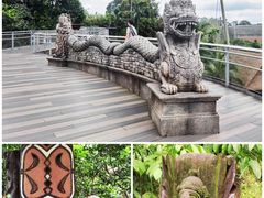 -新加坡飞禽公园