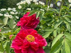 -江南大学(蠡湖校区)