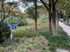 -昆山城市生态森林公园