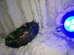 -水晶之星洗浴温泉汗蒸